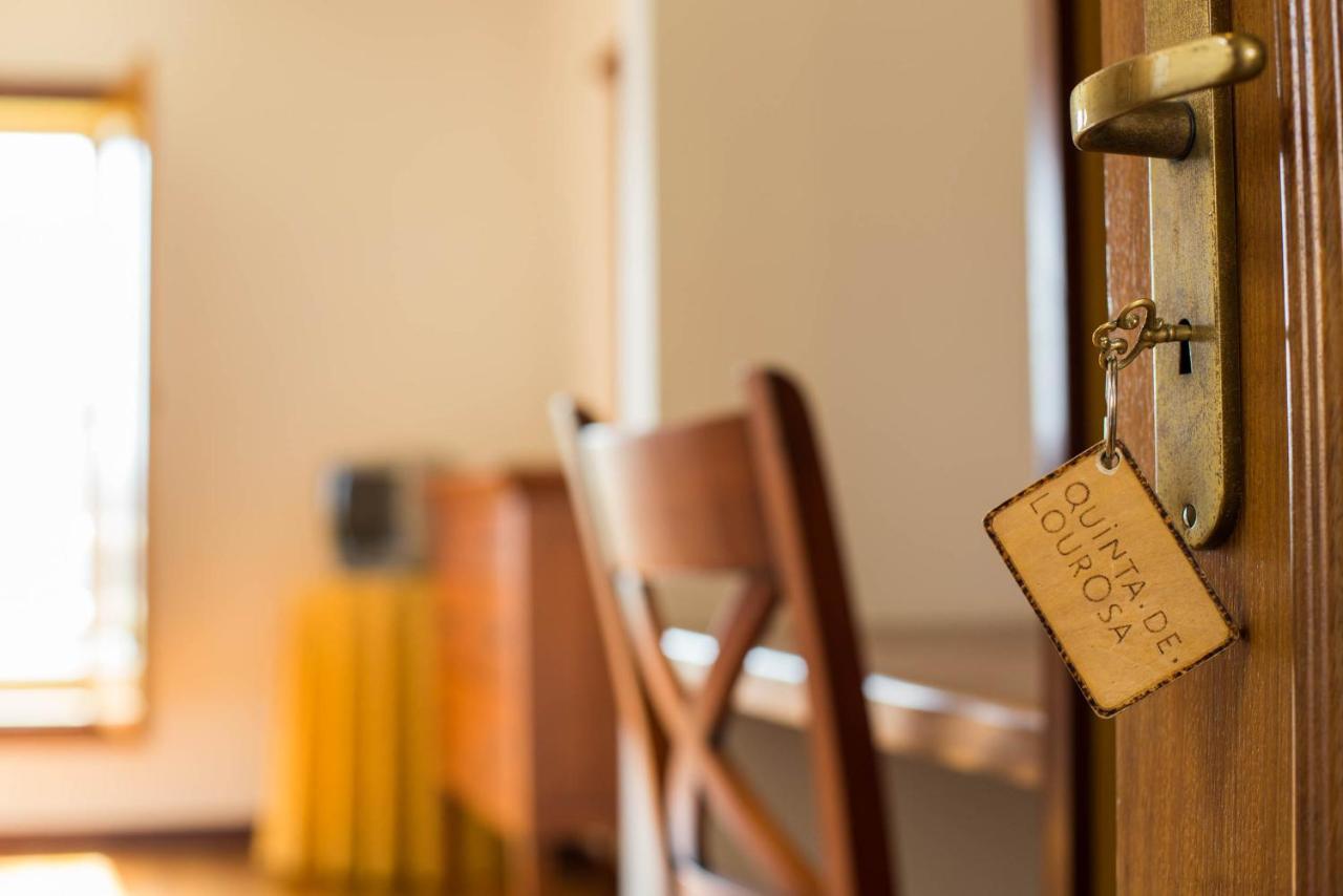 Quinta De Lourosa Guest House Lousada Ngoại thất bức ảnh