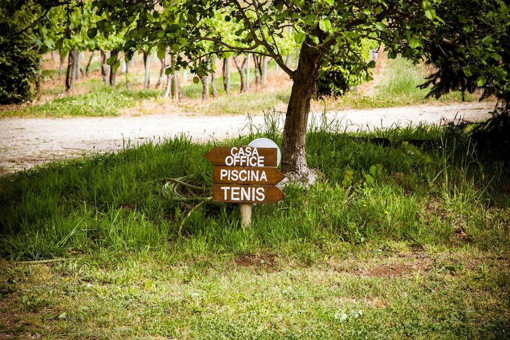 Quinta De Lourosa Guest House Lousada Ngoại thất bức ảnh