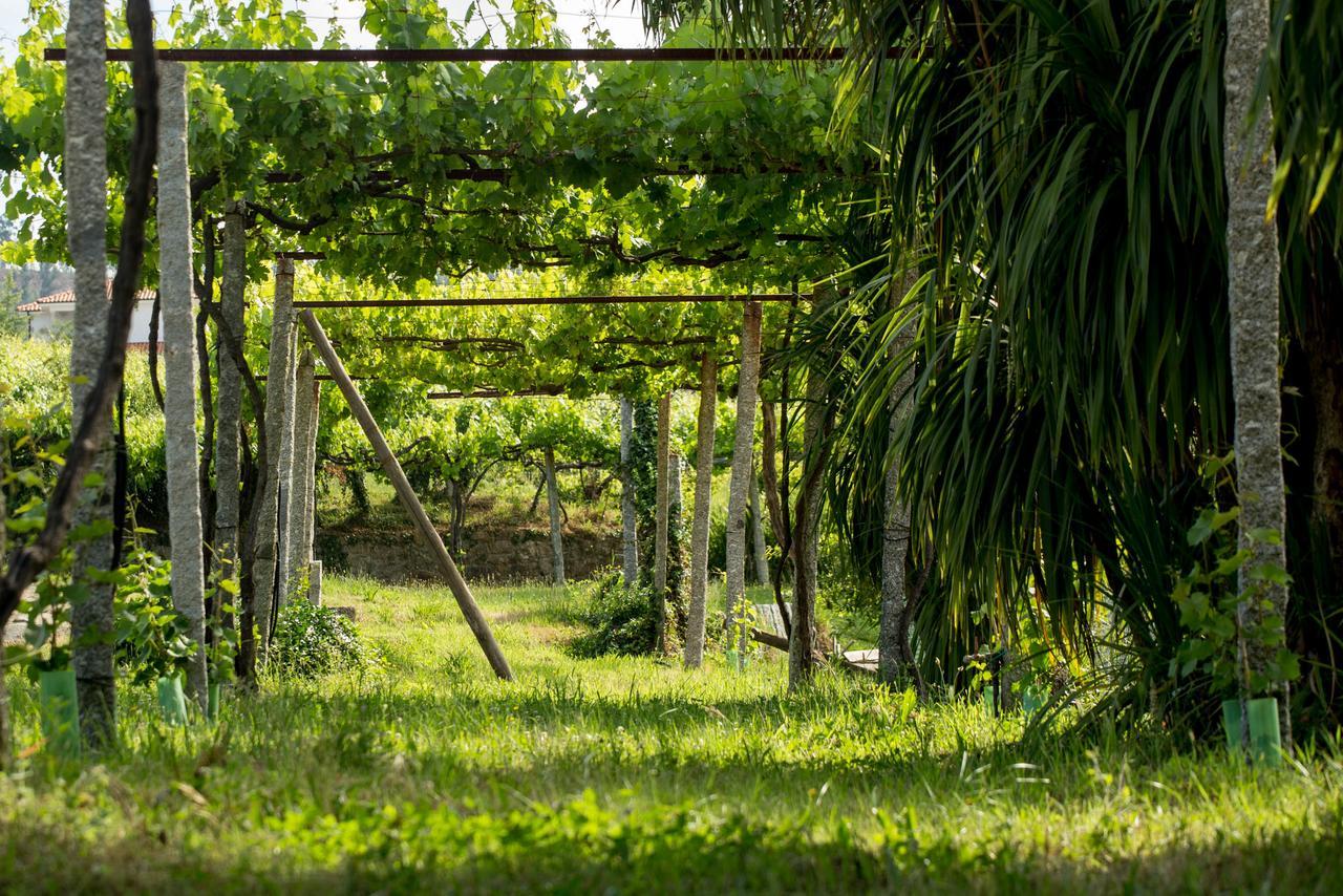 Quinta De Lourosa Guest House Lousada Ngoại thất bức ảnh