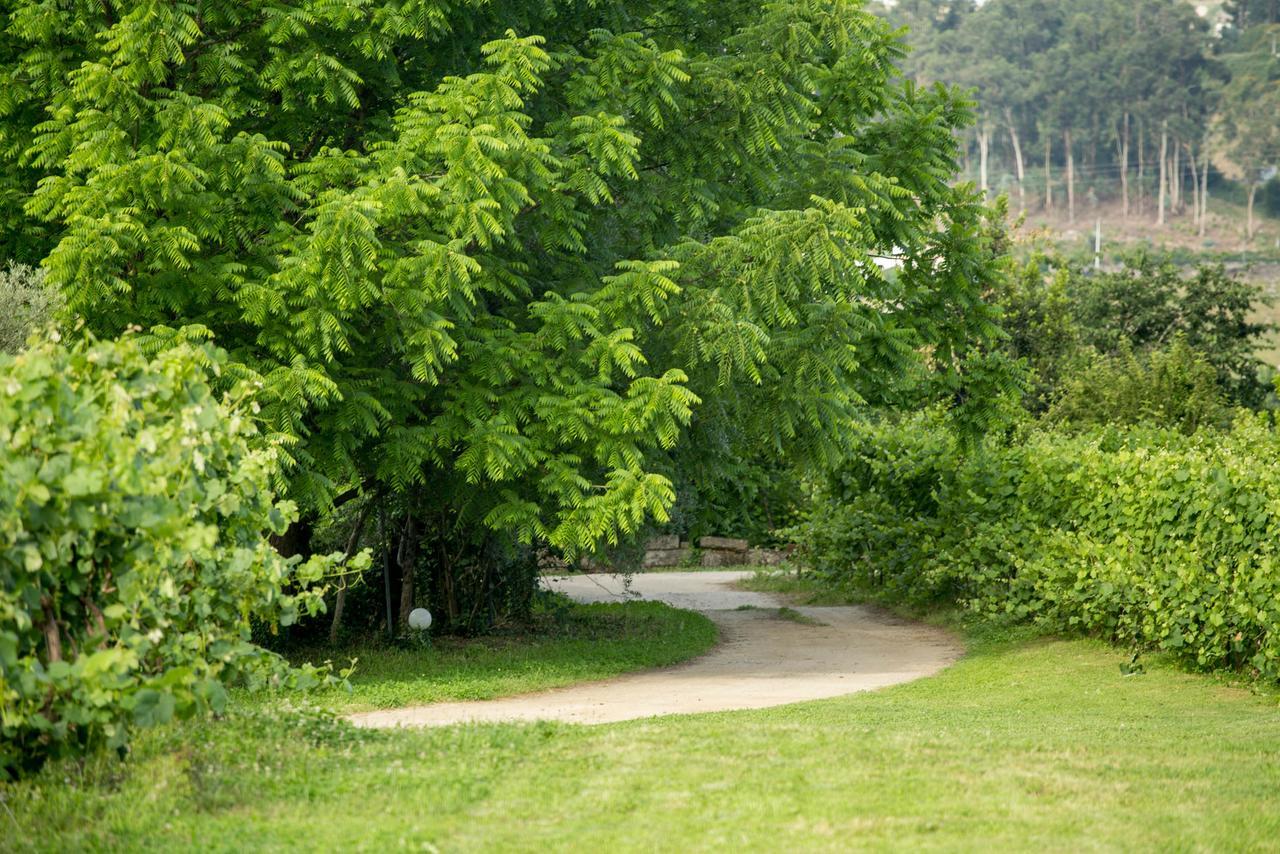Quinta De Lourosa Guest House Lousada Ngoại thất bức ảnh